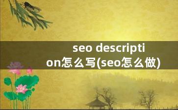 seo description怎么写(seo怎么做)